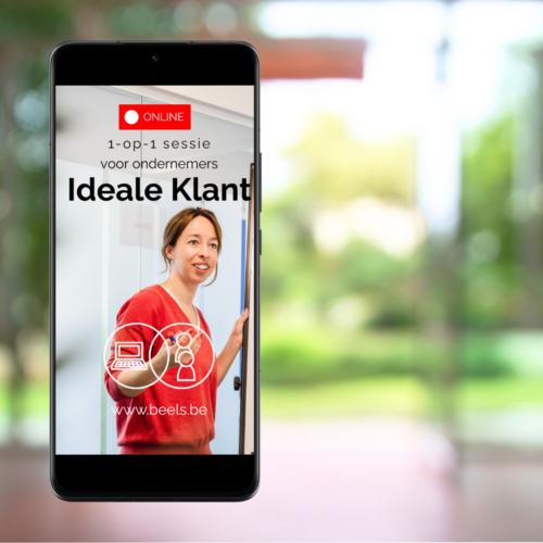 ideale klant online sessie